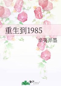 重生到1985