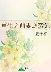 重生之前妻逆袭记
